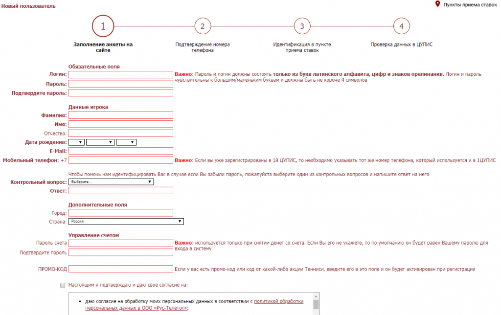 Поля ввода данных для регистрации в Тенниси