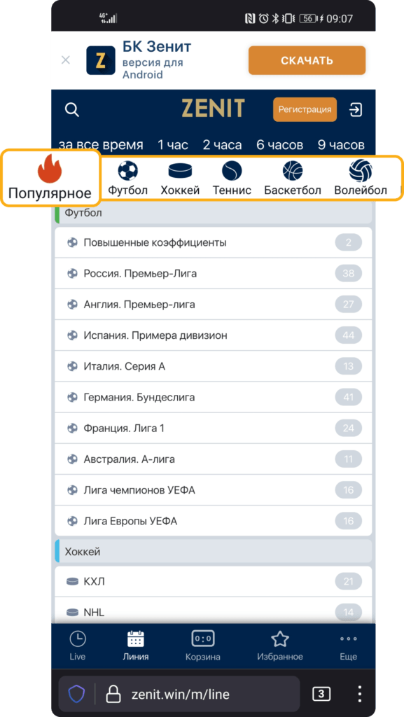 Линия на сайте БК Зенит