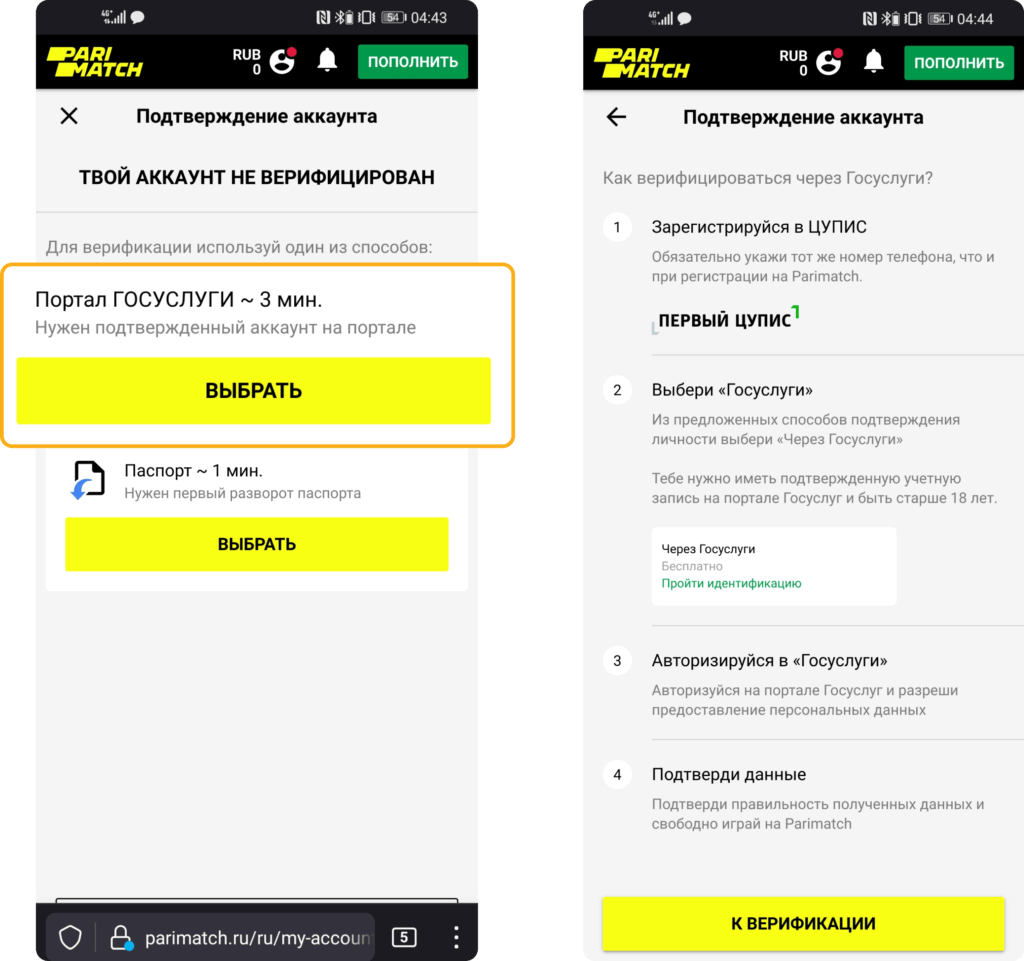 Верификация при помощи портала Госуслуги