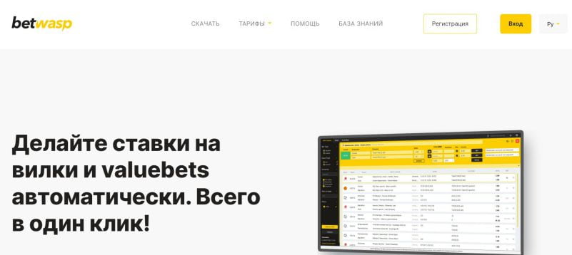 Главная страница сайта betwasp.com