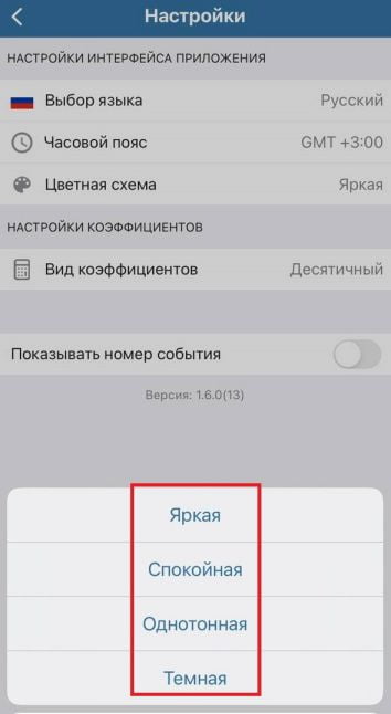 настройки приложения Бетсити на iOS