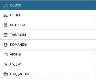 статистика в приложении Фонбет на Айфон