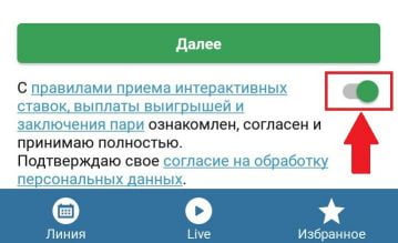 правила и условия в приложении Бетсити на Андроид