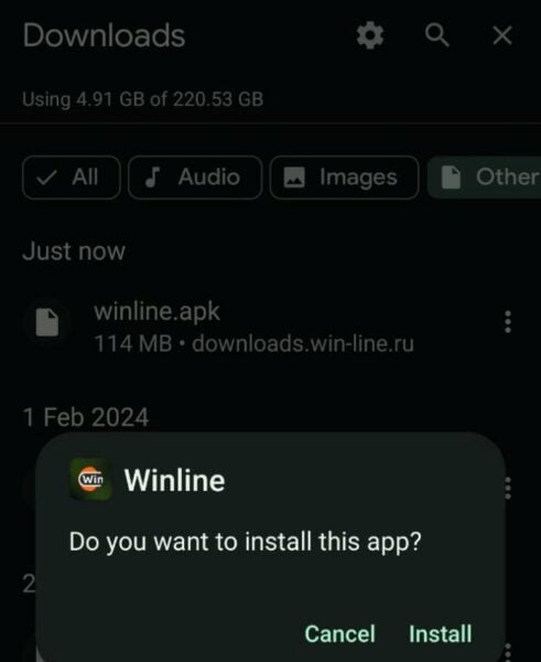 Всплывающее окно с разрешением на установку приложения Winline