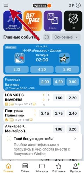 Клавиша главного меню для перехода к видам спорта в приложении Winline