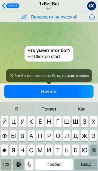 Как открыть бота 1xBet