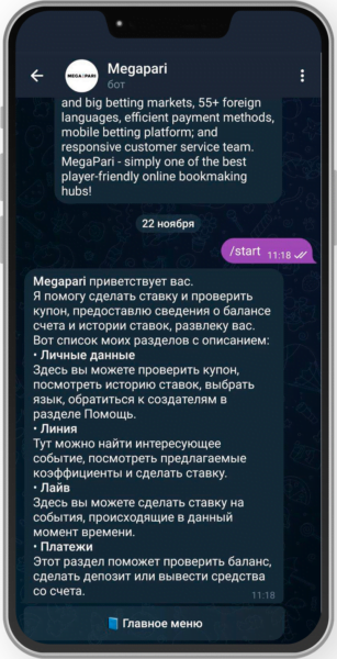 Раздел «Помощь» в официальном боте от Megapari