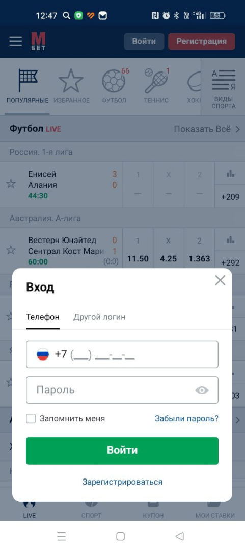 Анкета авторизации в приложении Marathonbet